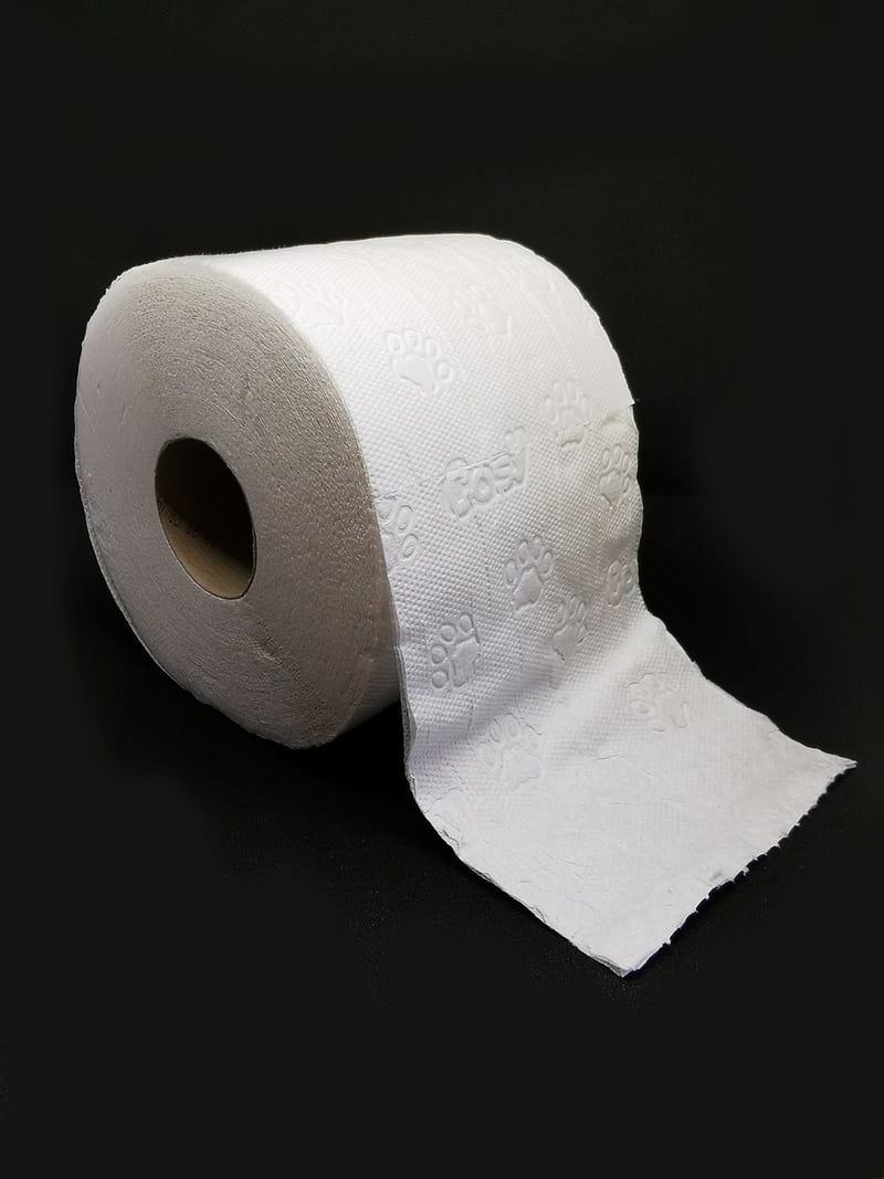 Toilet Paper Roll Animals